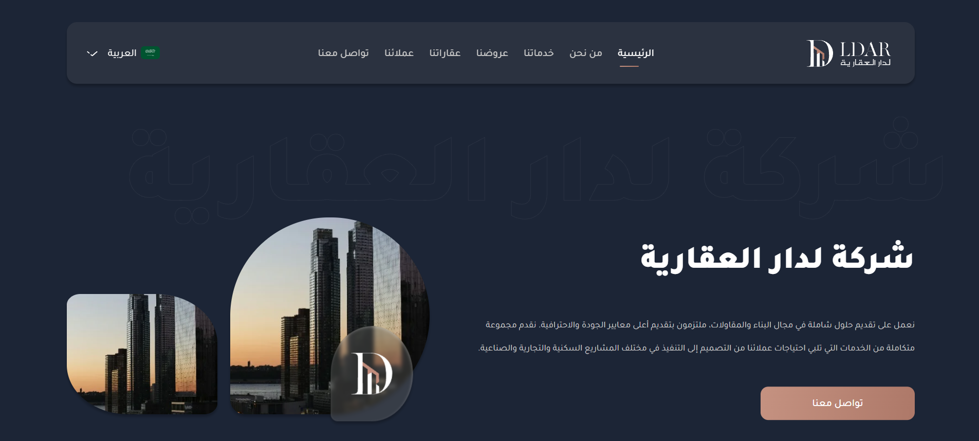 Ldar project screenshot